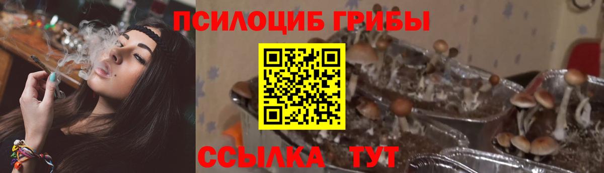 Псилоцибиновые грибы ЛСД  Вход с VPN  Галлюциногенные грибы Magic Shrooms  Ленинск-Кузнецкий 